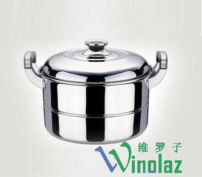 Single multi-purpose steamer